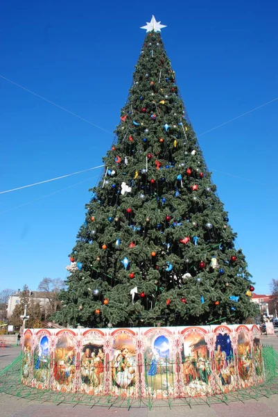 Pomul Crăciun Ternopil Decembrie 2015 — Fotografie, imagine de stoc