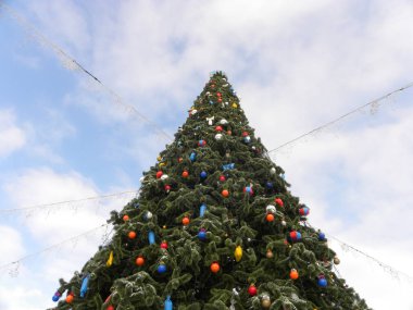 Ternopil Noel ağacı.