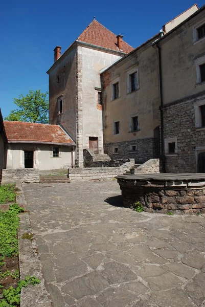 Arkitektoniska Typer Svirzh Slott — Stockfoto