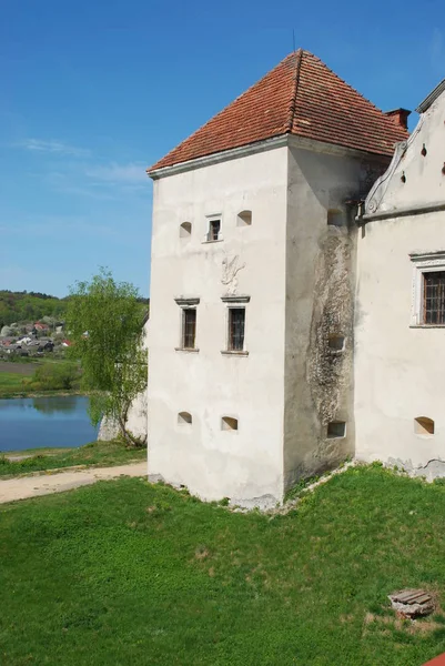 Tipos Arquitetônicos Castelo Svirzh — Fotografia de Stock