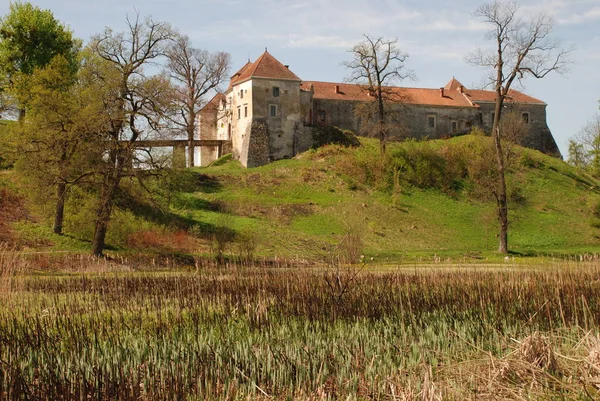 Tipos Arquitetônicos Castelo Svirzh — Fotografia de Stock