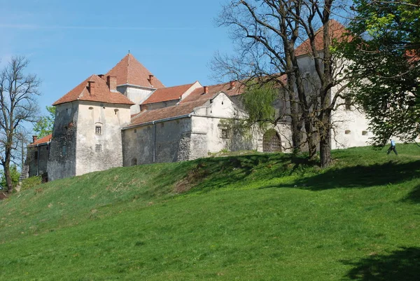 Αρχιτεκτονικοί Τύποι Κάστρο Svirzh — Φωτογραφία Αρχείου