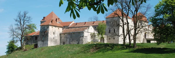 Tipos Arquitetônicos Castelo Svirzh — Fotografia de Stock