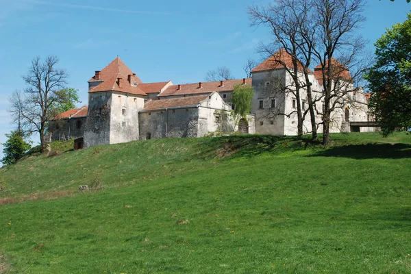 Rodzaje Architektoniczne Zamek Svirzh — Zdjęcie stockowe