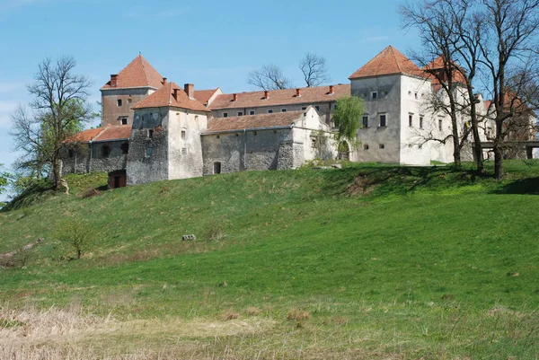 Tipos Arquitetônicos Castelo Svirzh — Fotografia de Stock