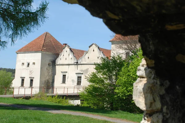 Tipos Arquitetônicos Castelo Svirzh — Fotografia de Stock