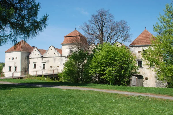 Architectural Types Svirzh Castle — Stock Photo, Image
