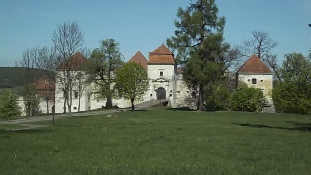 Architectonische Types Svirzh Castle — Stockvideo