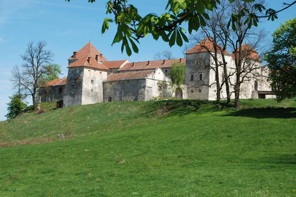 Αρχιτεκτονικοί Τύποι Κάστρο Svirzh — Φωτογραφία Αρχείου