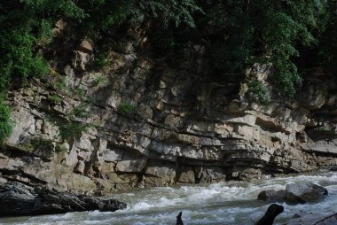 Karpatlar Prut Nehri