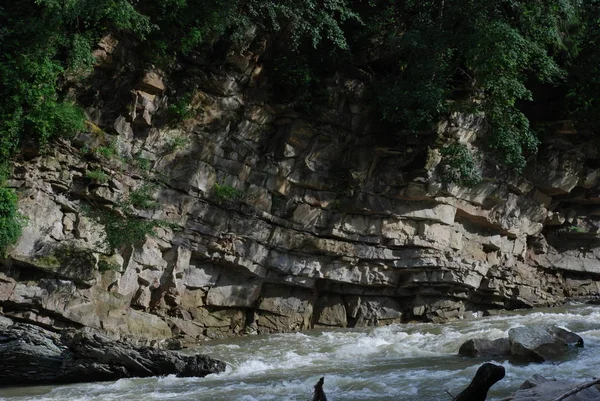 Rzeka Prut Karpatach — Zdjęcie stockowe