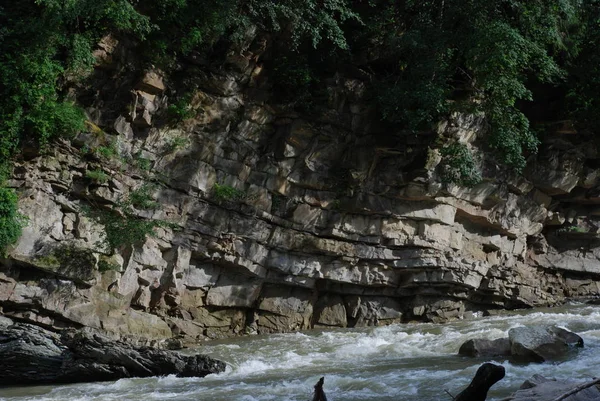 Karpatlar Prut Nehri — Stok fotoğraf