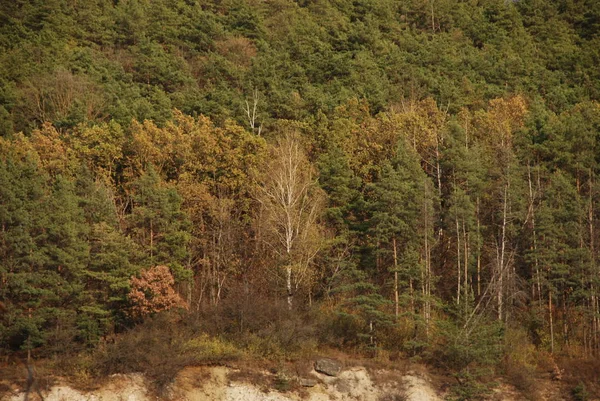 Ruhige Ecke Schöne Natur — Stockfoto