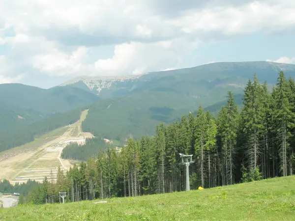 Grandezza Delle Montagne Delle Foreste Dei Carpazi — Foto Stock