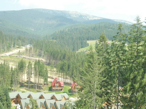 Grandezza Delle Montagne Delle Foreste Dei Carpazi — Foto Stock