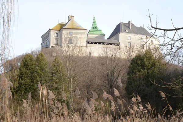 Obecný Pohled Hrad Olesko — Stock fotografie