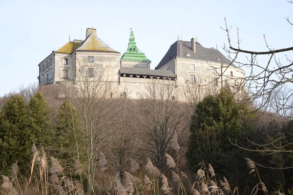 Vista Geral Castelo Olesko — Fotografia de Stock