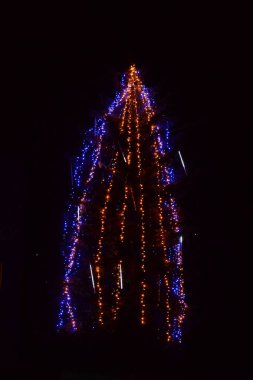 Kremenetlerdeki Noel Ağacı