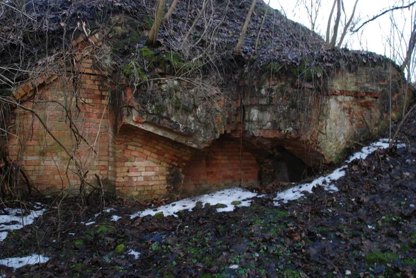 Rivne地区Dubensky区Cockroaches村的要塞 — 图库照片