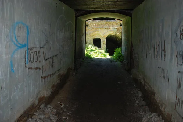 Fort Byn Kackerlackor Dubenskij Distriktet Rivne Regionen — Stockfoto