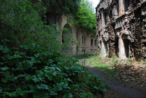 Fort Miejscowości Karaluchy Dubensky Powiat Obwodzie Rówieńskim — Zdjęcie stockowe