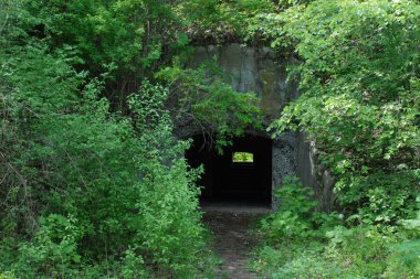 Rivne bölgesinin Dubensky bölgesinin hamamböcekleri köyünde bir kale.