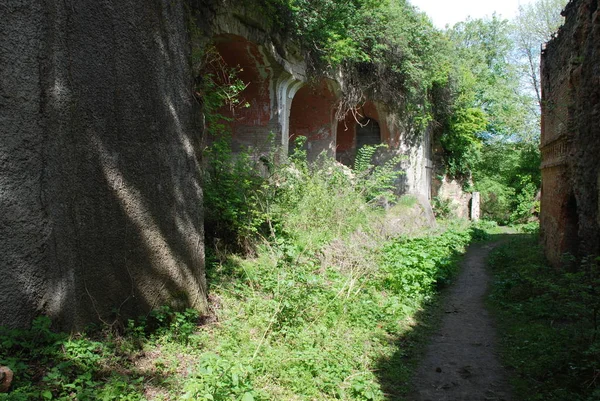 Rivne地区Dubensky区Cockroaches村的要塞 — 图库照片