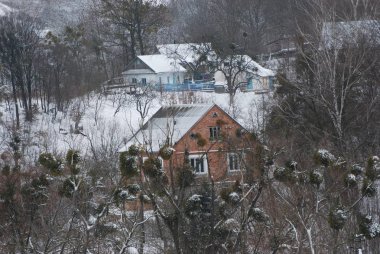 Karpat Dağlarının yumuşak yamaçları