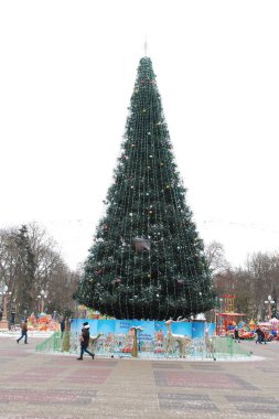 Ternopil Noel ağacı