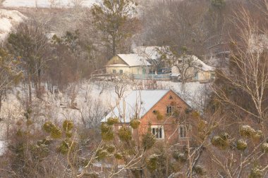 Karpatlar, orman, genel görünümü, evler, dağ, yamaçları, kar, ağaçlar