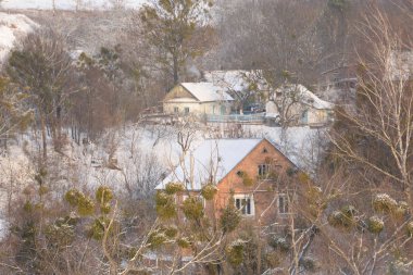 Karpatlar, orman, genel görünümü, evler, dağ, yamaçları, kar, ağaçlar