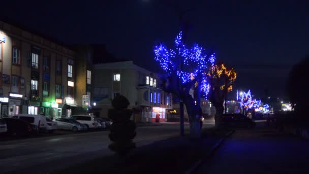 Рождественские Огни Вечернего Города — стоковое видео