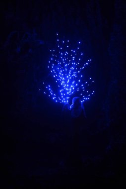 Akşam şehrinin Noel ışıkları