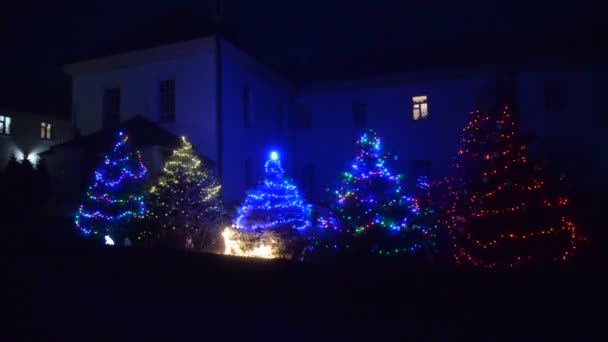 Luces Navidad Ciudad Nocturna — Vídeos de Stock
