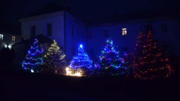 Luzes Natal Cidade Noite — Vídeo de Stock