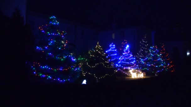 Weihnachtsbeleuchtung Der Abendstadt — Stockvideo