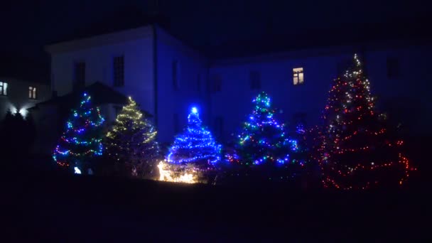 Luces Navidad Ciudad Nocturna — Vídeos de Stock