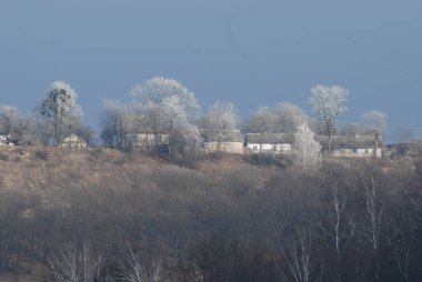 Karpat Dağlarının yumuşak yamaçları