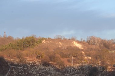 Karpat Dağlarının yumuşak yamaçları