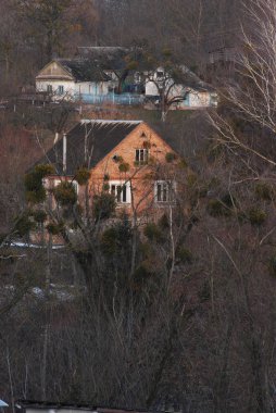 Karpat Dağlarının yumuşak yamaçları