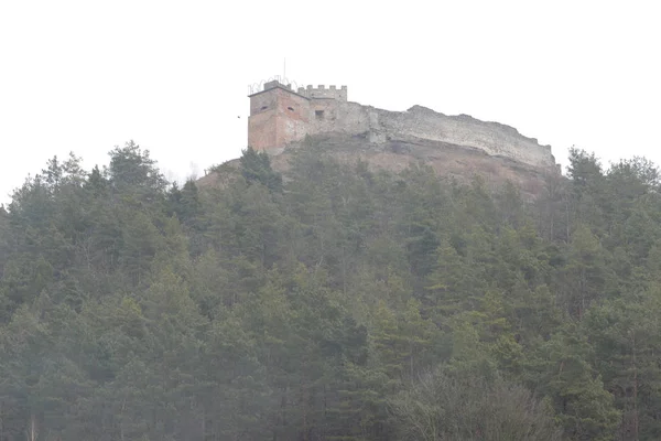 Vue Générale Colline Château — Photo