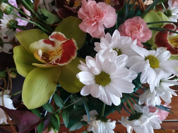 Праздничный Букет Хризантем Орхидей Роз — стоковое фото