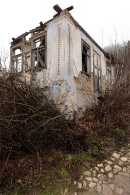 Bekarlık eski ormanda başlar.