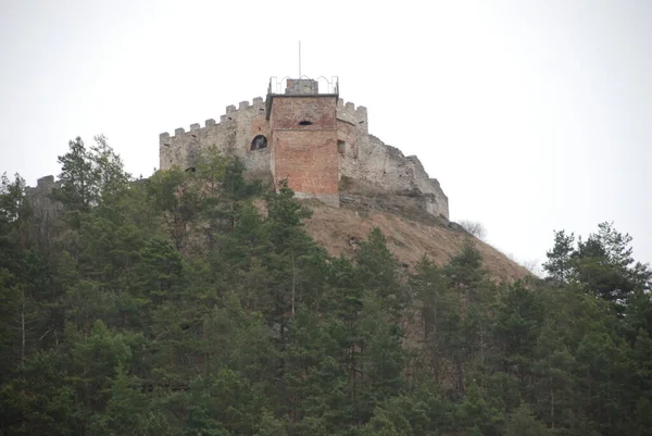 Vue Générale Colline Château — Photo