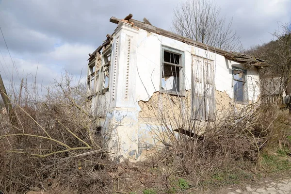 Single Begint Het Oude Bos — Stockfoto