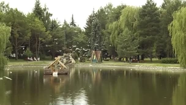 Στον Υδροηλεκτρικό Ποταμό Rivne — Αρχείο Βίντεο