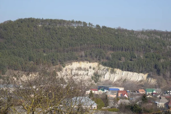 Vinterdag Barrskog — Stockfoto