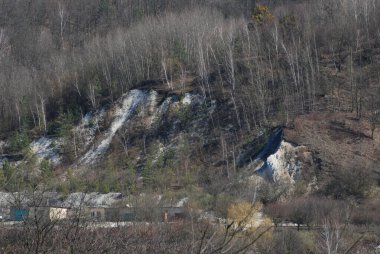Kozalaklı ormanda kış günü