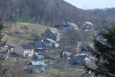 Karpat Dağlarının yumuşak yamaçları