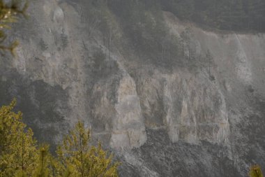 Kozalaklı ormanda kış günü